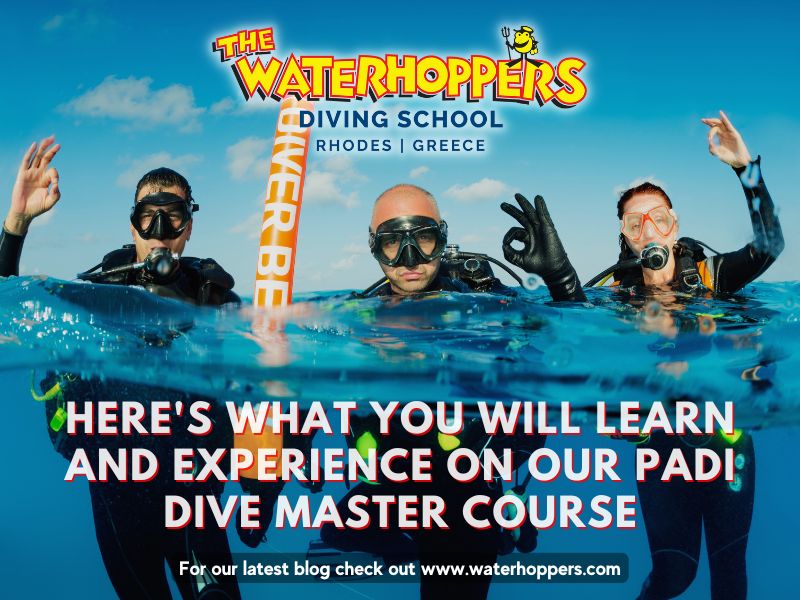 What you will learn and experience on our PADI Dive Master course